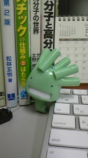 �N���\�Q�m��