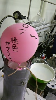 ���̖���