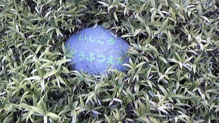 ���������s