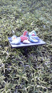 ���̎���