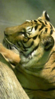 �����Ƃ�