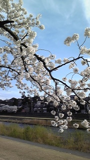 ���������Ԍ�