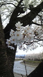 �T�[�N�����Ԍ�