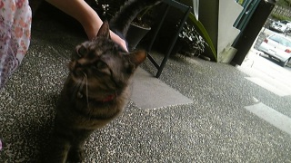 �J�����A�����H