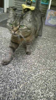 ����ƎB�ꂽ