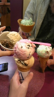 ��������̌�