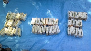 �����͎Ő���