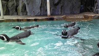 �̂Ƃ��ܐ�����