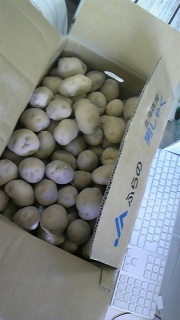 ���Ⴊ���Ⴊ