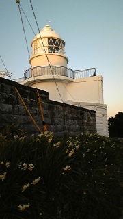 ����Ɛ����