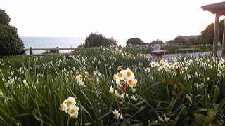 �C�Ɛ����