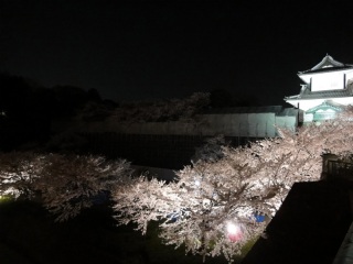 ���Z������������݂�