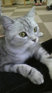 �˂���с��r��