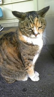 �����˂�