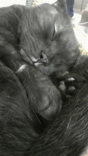 �o�[�g������I�I