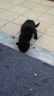 �����т����