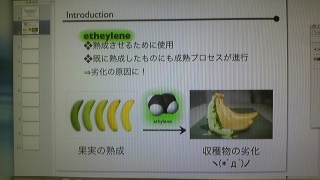 �����|���}�[�̌u���^�[���I���ɂ��G�`�����K�X�̌��o