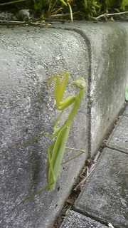 �����������ā�