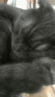 ���[�A���[�B