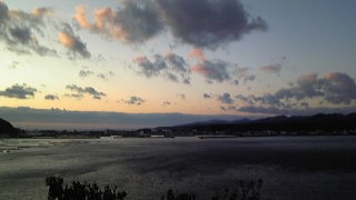 �哇������{������