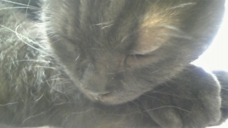 �o�[�g����