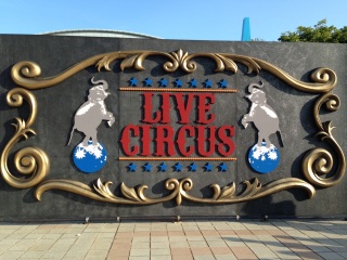 �T�[�J�X�I