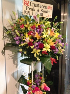 �N���X�^�V�A���C�u