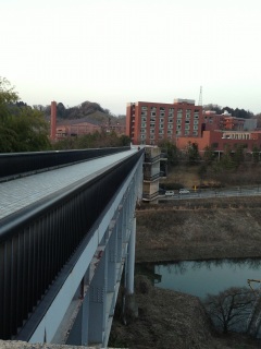 ����������Ǝ΂ߌ�납�炩��