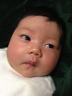 �䂤�������