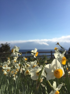 ���N�������I