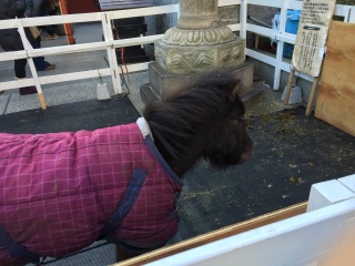 �����肿���