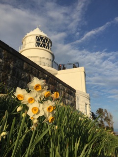 �c�C�A���e�X�g