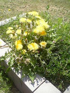 �����x��