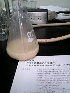 �p���y��