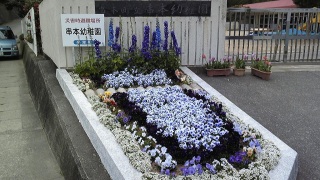 �悤������