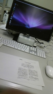 �}�C�f�X�N