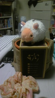 �A�x�ŏI��